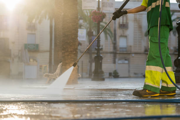Best Roof Pressure Washing  in , MA